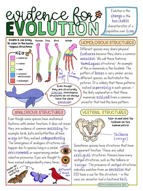 Evidence Of Evolution Lab
