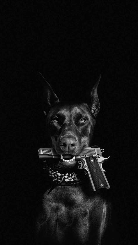 Evil Dog With Gun