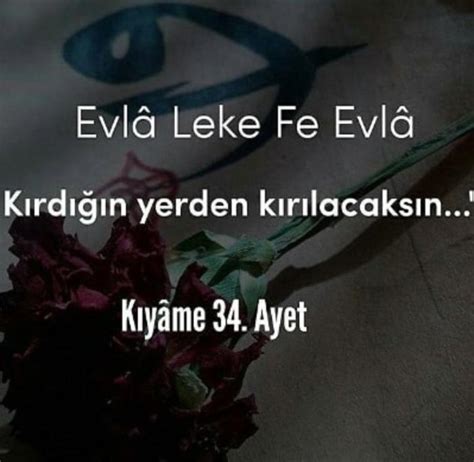 Evla Leke Fe Evla