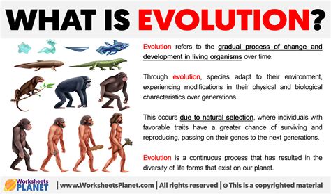 evolution