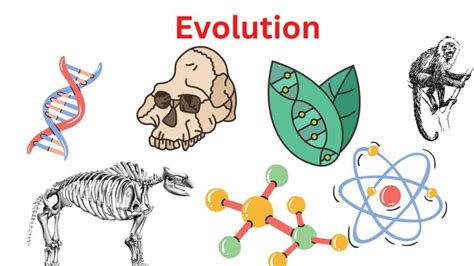 evolution