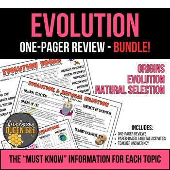 evolution and natural selection review packet answer