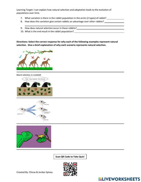 Evolution And Natural Selection Worksheet