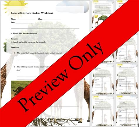 Evolution And Selection Answer Key