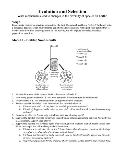 Evolution And Selection Pogil Answer Key