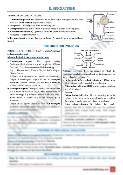 Evolution Class 12 Notes