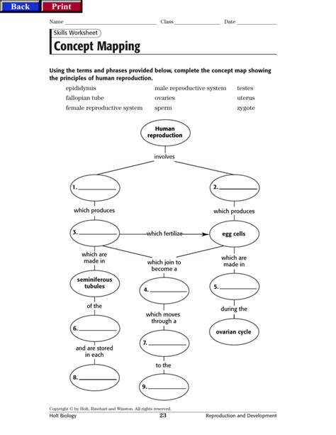 evolution concept mapping skills answer key