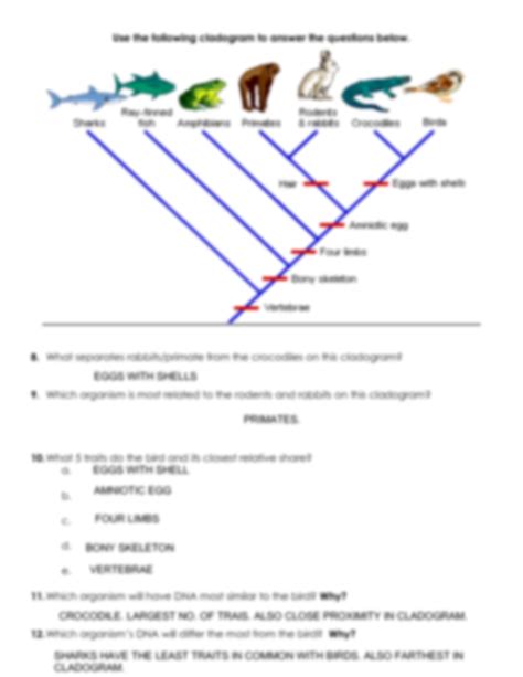 Evolution Creating Cladograms Answer Sheet