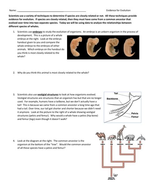 Evolution High School Biology Science Khan Academy Evolution Worksheet 6th Grade - Evolution Worksheet 6th Grade