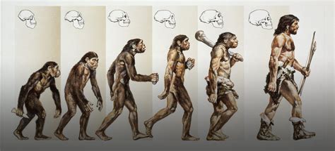 evolution man or how i ate my father vintage conte