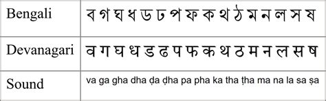 Evolution Meaning In Bengali