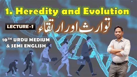 Evolution Meaning In Urdu
