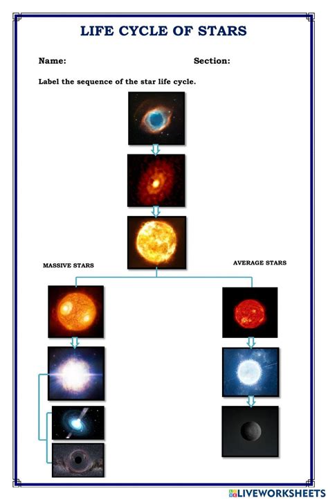 Evolution Of Stars Worksheet