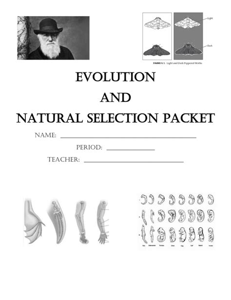 Evolution Packet
