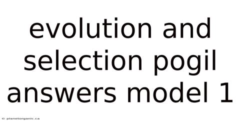Evolution Pogil