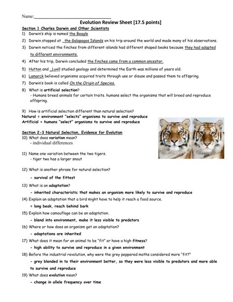 Evolution Review Sheet Answers