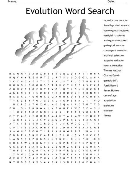 Evolution Word Search Key
