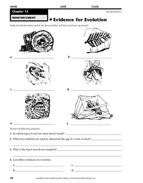 Evolution Worksheet 6th Grade   Evolution And The Fossil Record Worksheet Education Com - Evolution Worksheet 6th Grade