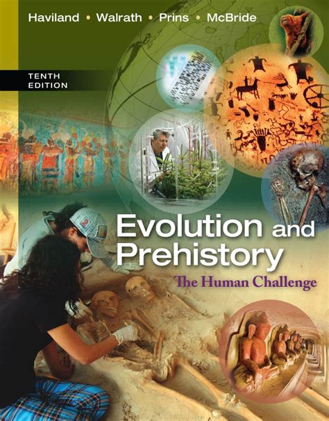 Read Online Evolution And Prehistory The Human Challenge 