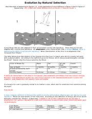 Download Evolution By Natural Selection Answer Key 