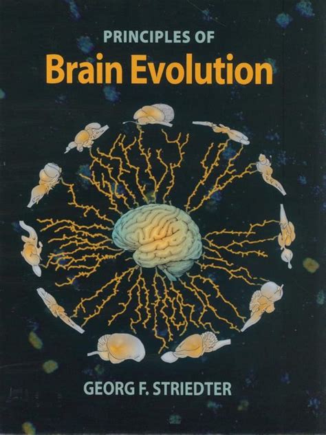 Full Download Evolution Third Edition Sinauer Associates 