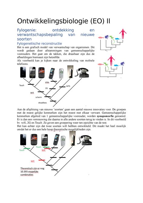evolutionaire ontwikkeling