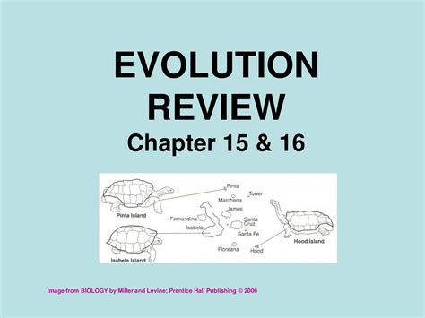 Full Download Evolutions Unit Review Chapters 15 16 Answers 