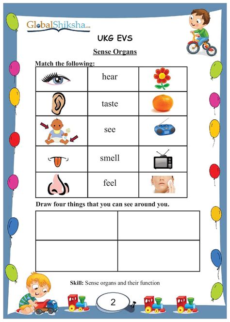 Evs Worksheet For Ukg