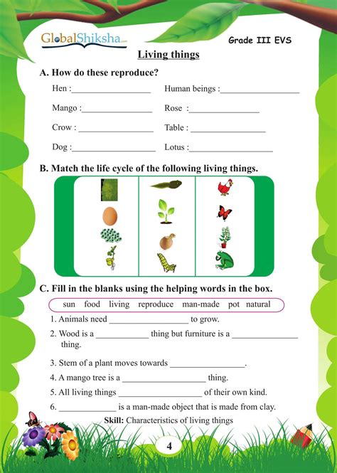 Evs Worksheets For Class 3 Pdf