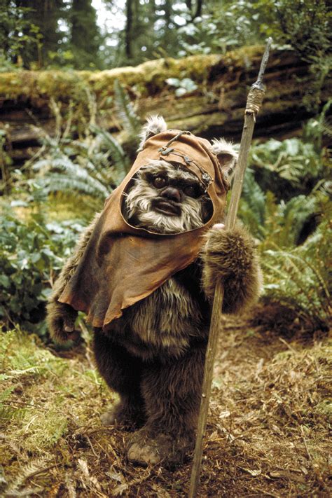 ewok