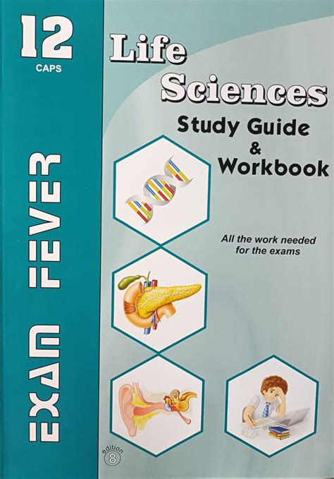 exam fever grade 12
