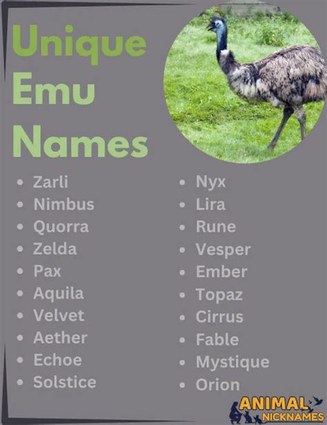 Read Online Exam Name Emu 