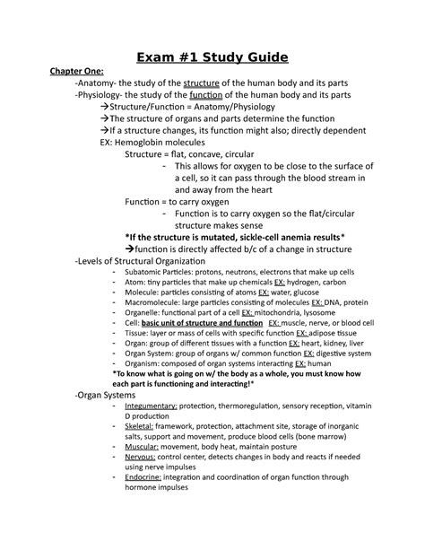 Read Online Exam P 1 Study Guide 