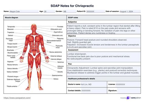 example chiropractic chart of accounts