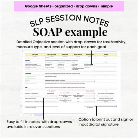 Example Good Slp Daily Notes