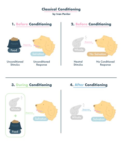 Example Of Classical Conditioning In Everyday Life