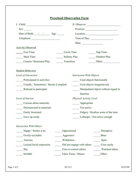 Example Of Preschool Observation Documentation And Analysis