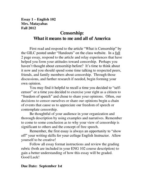 Read Online Example Of A College Essay Paper 