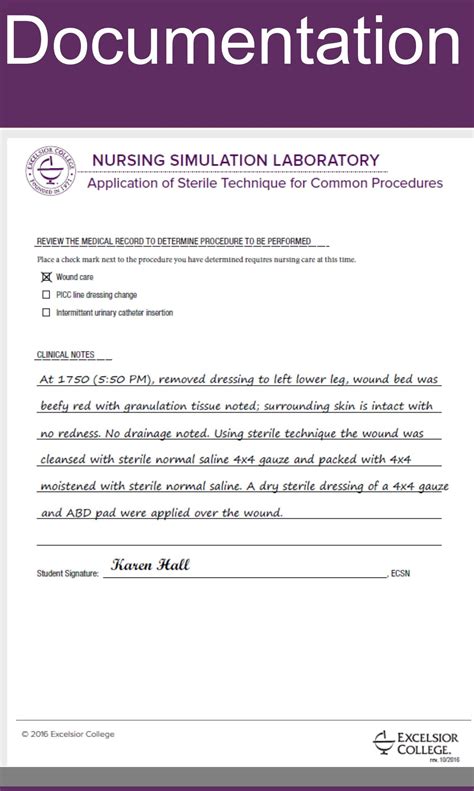 Full Download Example Of Wound Care Documentation 