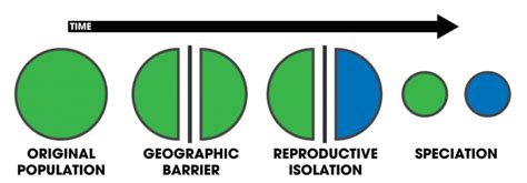 examples of behavioral reproductive isolation