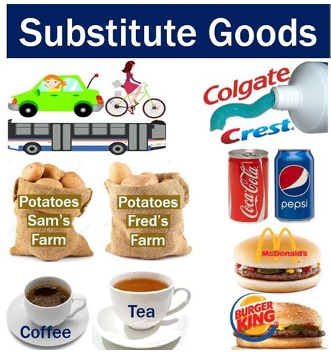 examples of goods without substitutes - periasta.com