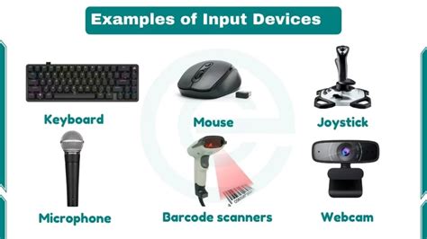 Examples Of Input Devices