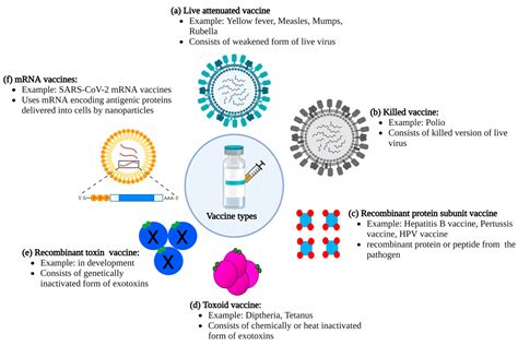 Examples Of Live Vaccines