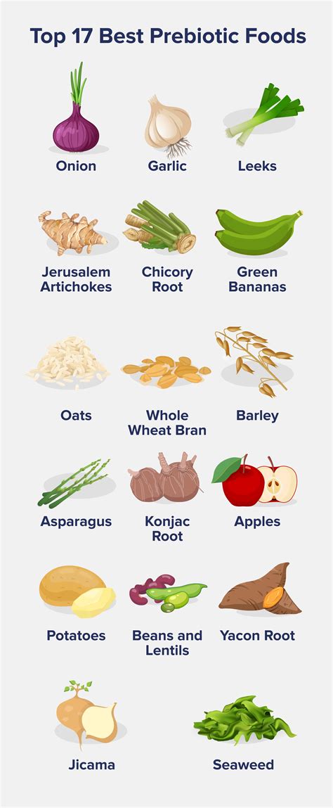 Examples Of Prebiotics