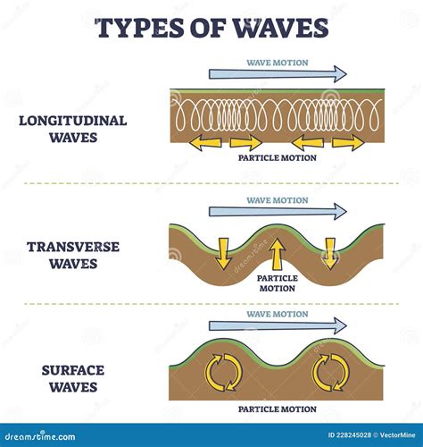 Examples Of Transverse Waves