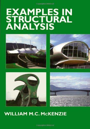 Read Examples In Structural Analysis By William Mckenzie 