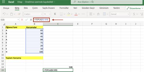 excel cetvel