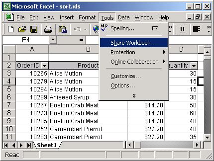 Download Excel 2003 User Guide 