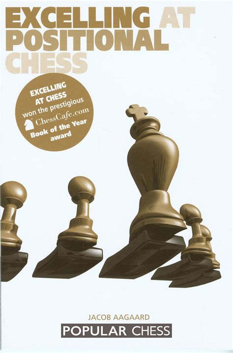Excelling At Positional Chess How The Best Players Plan And Manoeuvre English Edition