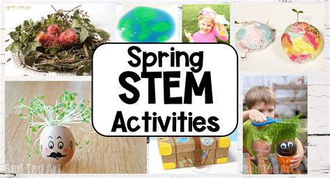 Exciting Creative Spring Stem Activities For Kids Steamsational Spring Science Activities For Preschoolers - Spring Science Activities For Preschoolers
